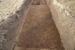 Trench 5 Ditch with burnt edge cutting across marching camp bank